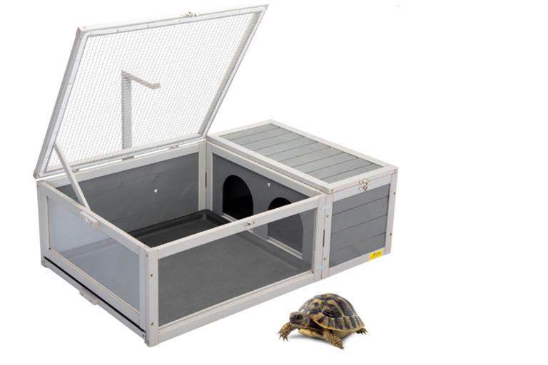 Thoughtful Christmas Gifts for Your Turtle 1 Turtle Blogs