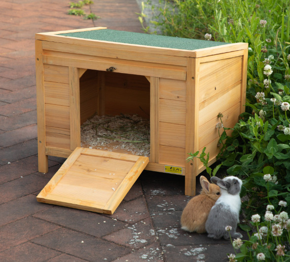 The Wooden Rabbit Hutch at Coziwow
