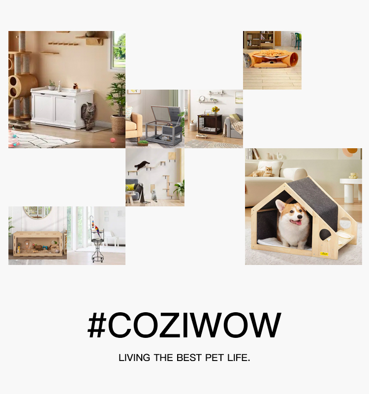 Home Coziwow11