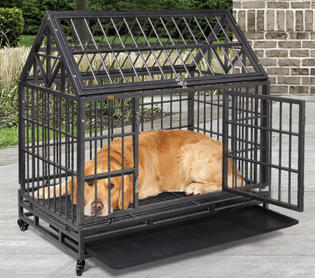 A dog is in the dog crate.