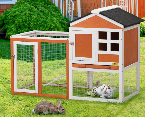 Rabbits in the chicken coop.