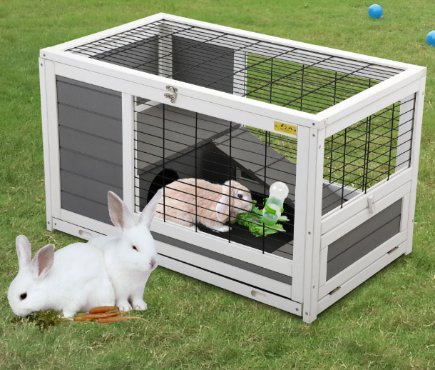 A rabbit is in the rabbit hutch.