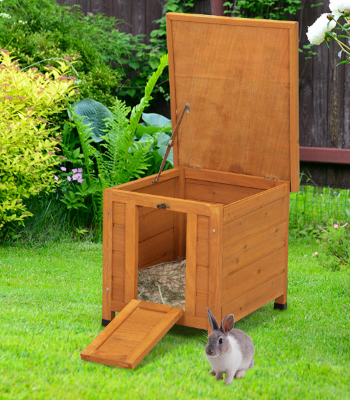 Rabbit is in the rabbit hutch.