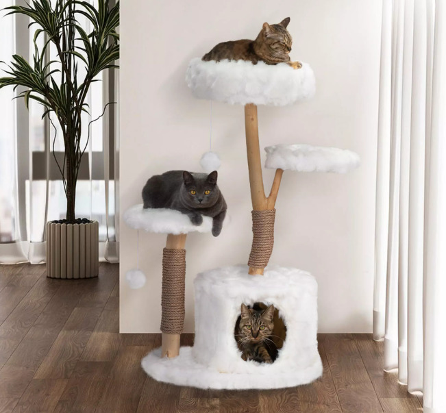 Cats are on the cat tree.