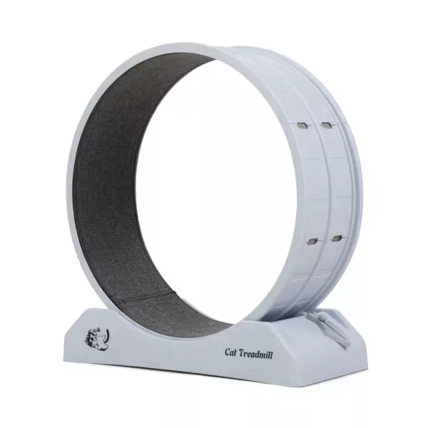 CW12R0605-zt(2)