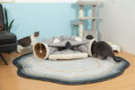 2-in-1 Cat Tunnel Toy, Scratch-Resistant Collapsible Cat Bed with Removable Mat, Grey and White photo review