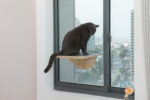 Washable Cat Window Perch| Cat Hammock Bed with 3 Suction Cups, Wood Color photo review