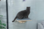 Washable Cat Window Perch| Cat Hammock Bed with 3 Suction Cups, Wood Color photo review