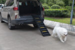 61"L Portable Folding Dog Ramp, High Traction Pet Stairs with Non-Slip Rubber Pad and Feet, Black photo review