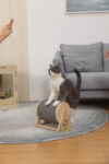 Sisal Cat Scratcher Toy| Cat Exercise Wheel Roller for Indoor Cats photo review