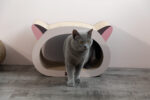 2-In-1 Cat-Head Shaped Cat Scratcher, Recyclable Corrugated Scratching Pad Bed, Cat Pattern photo review
