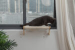 Fashionable Cat Window Perch Hammock Wall Mounted Cat Bed, Wood + White photo review