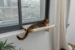 Fashionable Cat Window Perch Hammock Wall Mounted Cat Bed, Wood + White photo review