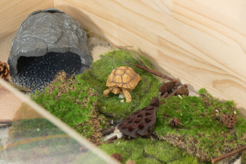 Wooden Tortoise Habitat Large Turtle Enclosure with Waterproof Cloth, Natural photo review