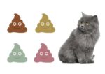 Should I Worry About My Cat’s Poop