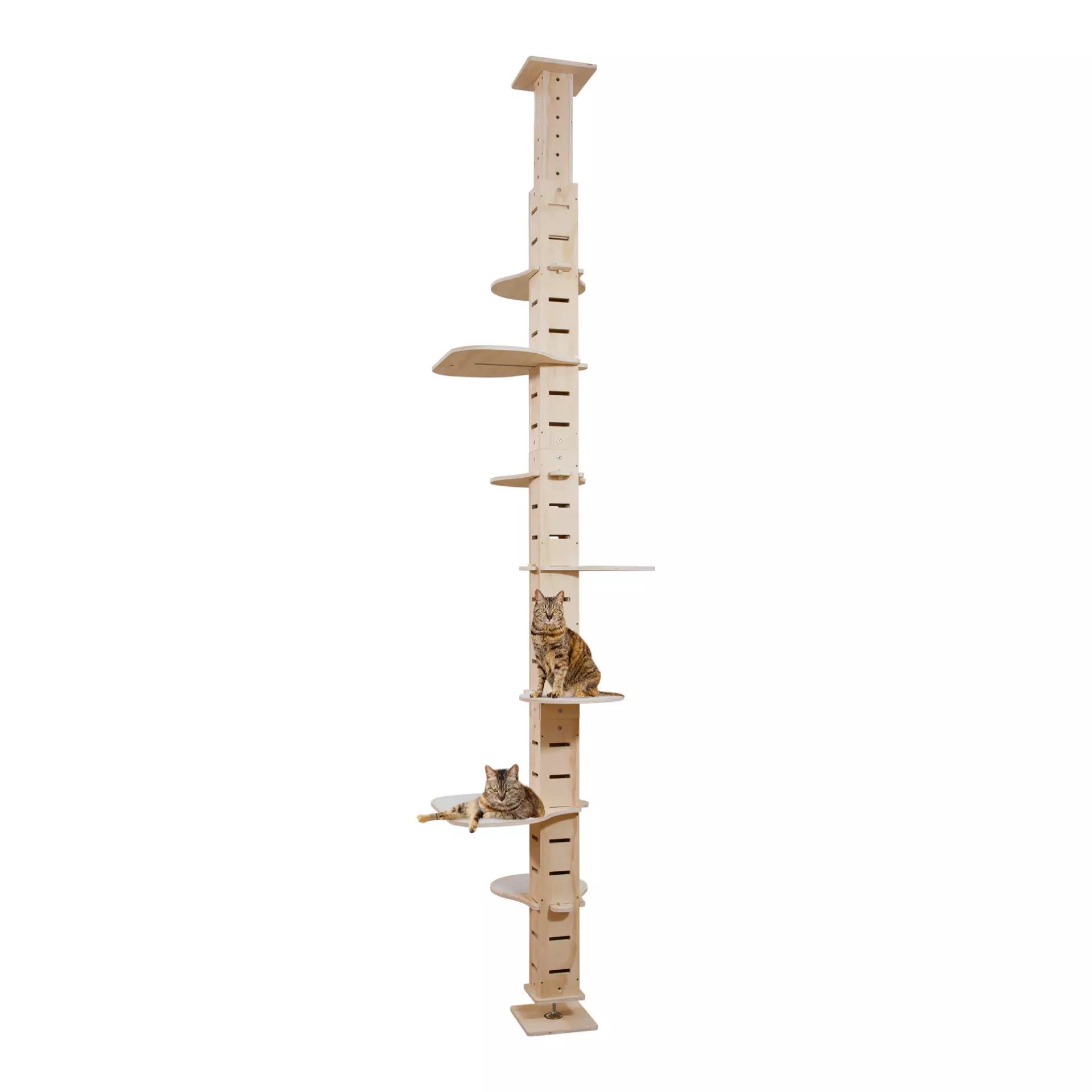 Adjustable Floor to Ceiling Cat Tree with DIY Platforms-CW12R0551