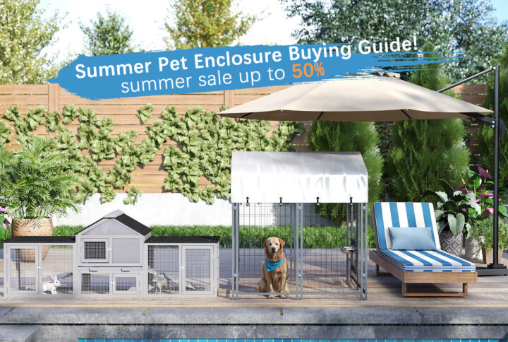 Summer Pet Enclosure Buying Guide! [Summer Sale On!]